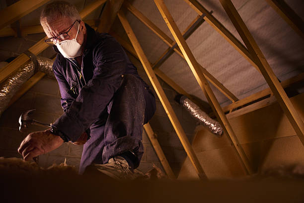 Best Commercial Insulation in Wallburg, NC